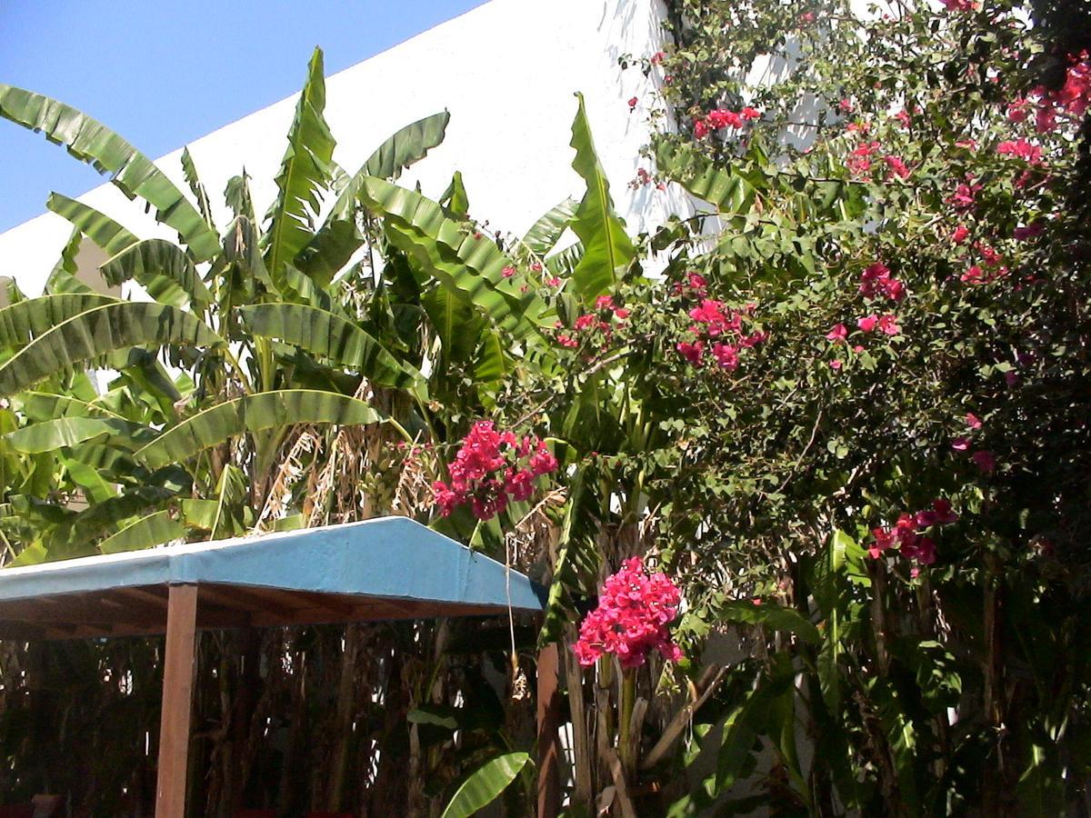 Sea Breeze Mastichari (Kos)